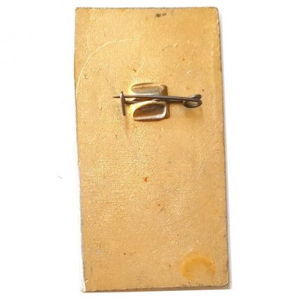 Значок. Краеведческий музей. КБАССР