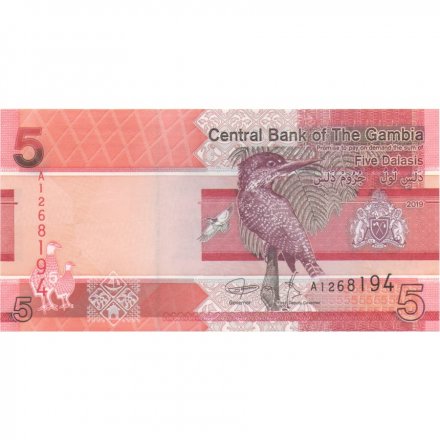 Гамбия 5 даласи 2019 года - Гигантский пегий зимородок UNC