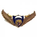 Знак Спецназ крылья ВДВ волк