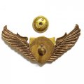 Знак Спецназ крылья ВДВ волк