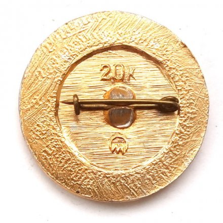 Значок Дважды Герой Советского Союза. Летчик-космонавт СССР Савицкая С.Е.