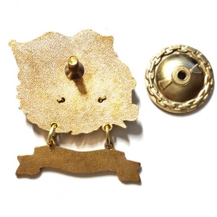 Знак За дальний поход. ОИС &quot;Семён Челюскин&quot;. Флаг ВМФ СССР