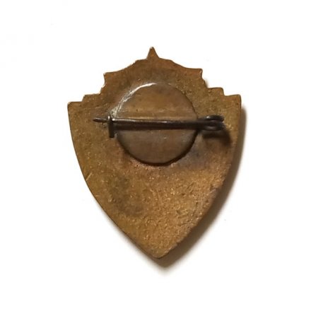 Значок &quot;Общественный инструктор ДСО Буревестник&quot; СССР, тяжелый