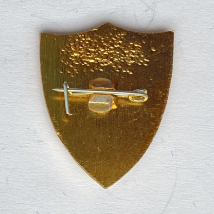 Значок. Футбол. ФК Трактор Бобруйск