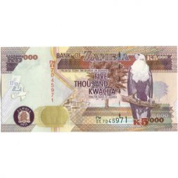 Замбия 5000 квача 2011 год - Кигелия эфиопская. Лев UNC