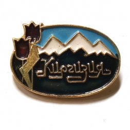 Значок Киргизия. Горы. Цветы