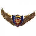Знак Спецназ крылья ВДВ ГРУ