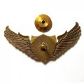 Знак Спецназ крылья ВДВ ГРУ