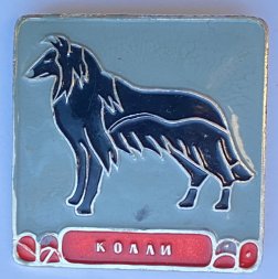 Значок. Серия собаки. Колли (серый фон) 