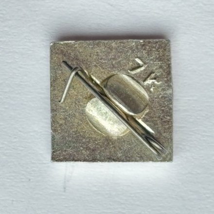 Значок. Шахматы Спорт Конь