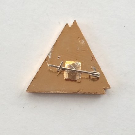 Значок ИПМ (Институт прикладной математики) АН УССР