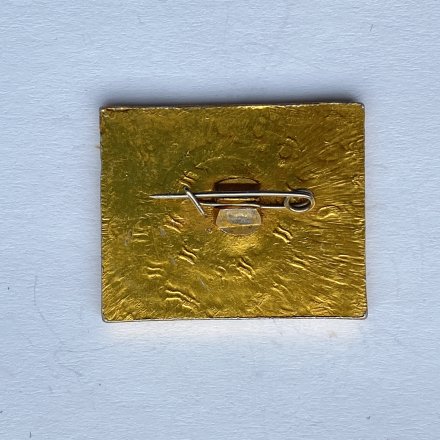 Значок. Плавание. Умею плавать 100м 