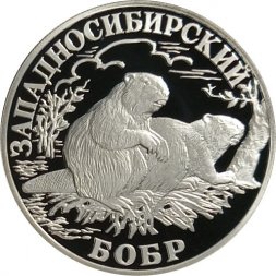 Россия 1 рубль 2001 год - Красная книга. Западносибирский бобр