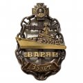 Знак 35 лет &quot;Варяг&quot;