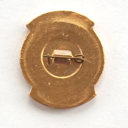 Значок Ижевск ИНИМТ 1970-1980