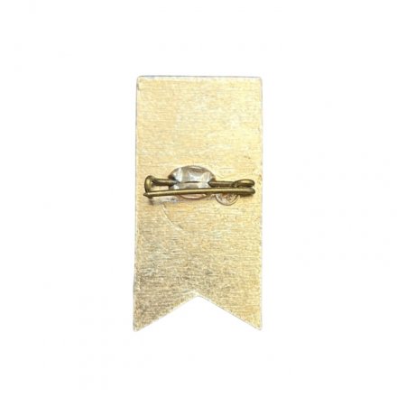 Значок Ленин 1870 - 1970. Вымпел
