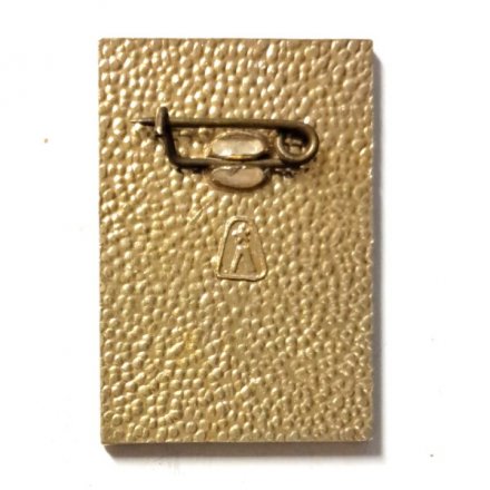 Значок Леноблсовет. 3 слет ДСО &quot;Трудовые Резервы&quot;. Ленин ВЛКСМ 1924-1974