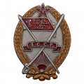 Орден Красного Знамени Хорезмской ССР (копия)