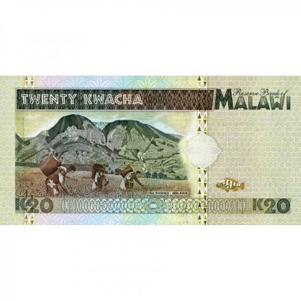 Малави 20 квача 1995 год - Президент Бакили Мулузи UNC
