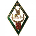 Знак (ромб) Почетный профессор СПбГЭУ