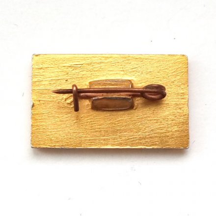 Значок СССР Восток-3, Восток-4. 1962