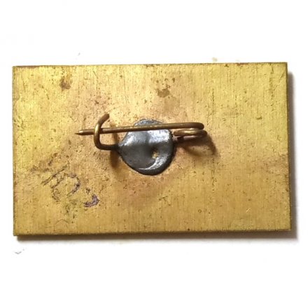 Значок Сахалинский музей