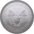 США 1 доллар 2020 год - Шагающая свобода
