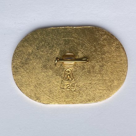 Значок. Зимний стадион. Бег