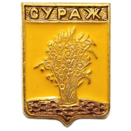 Значок Сураж. Брянская область. Герб. Серия &quot;Квадраты&quot;