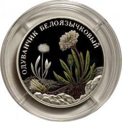 Россия 2 рубля 2022 год - Одуванчик белоязычковый