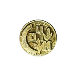 Значок Сочи (золотистый)