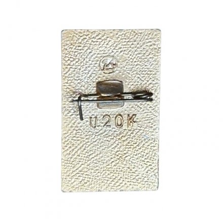 Значок Черняховск