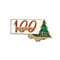 Значок 100 лет НТО Лес. 1871-1971 гг. (белый)