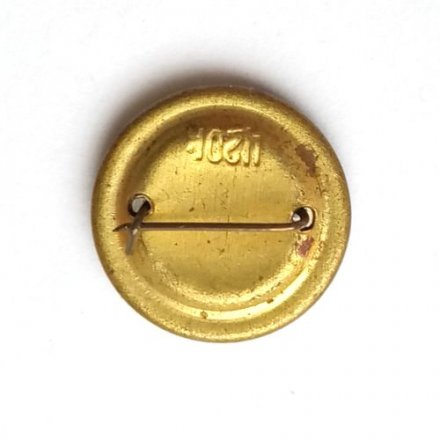 Значок СССР Аэрофлот (стеклопластик)