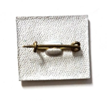 Значок Festival. Всемирный Фестиваль Молодежи и Студентов