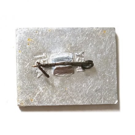 Значок Дом-музей В.И. Ленина