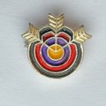 Значок. Стрельба из лука. Стрелы Мишень