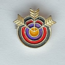 Значок. Стрельба из лука. Стрелы Мишень