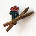 Значок Пионерия. ГДР Спорт. Золотые лыжи. 4 ступень