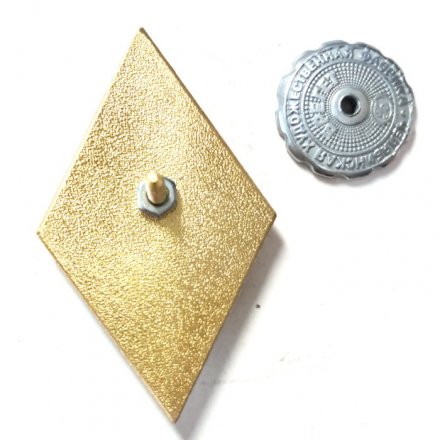 Нагрудный академический знак об окончании &quot;РАНХиГС&quot;, белая эмаль