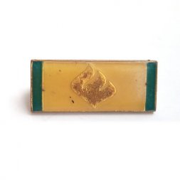 Значок иностранный, эмблема (желтый, зеленый)