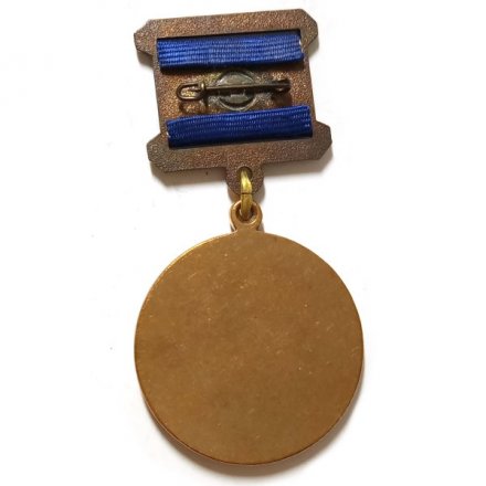 Знак Почетный житель Оккервиль, булавка