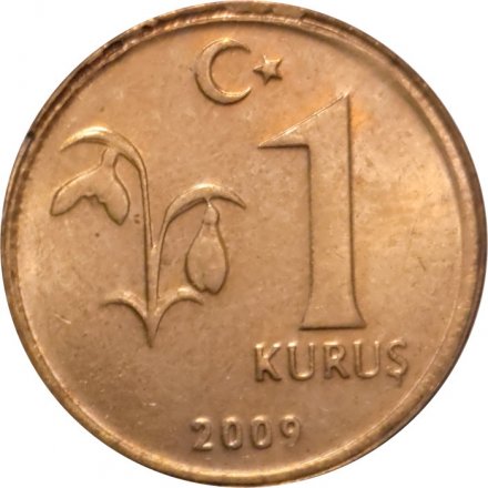 Турция 1 куруш 2009 год