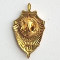 Знак фрачный &quot;100 лет службе внешней разведки&quot;