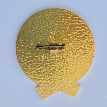 Значок. Дзю-до 1975