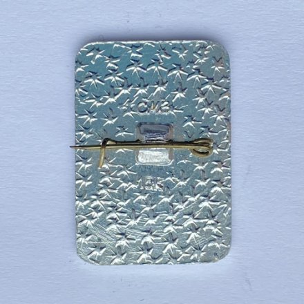 Значок. Мурманск. Ребенок на санках