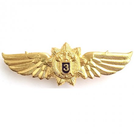 Знак Классность ФСО (Федеральная служба охраны) специалист 3 класса