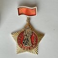 Значок. Победа. Памятник Воину - Освободителю