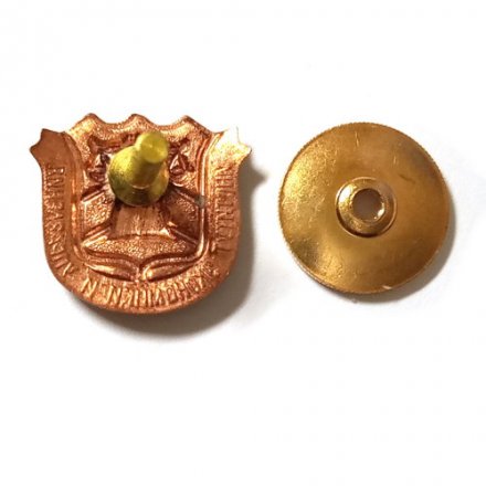 Знак Институт экономики и управления (винтовой)