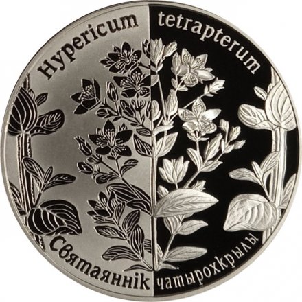 Беларусь 1 рубль 2014 год - Зверобой четырехкрылый